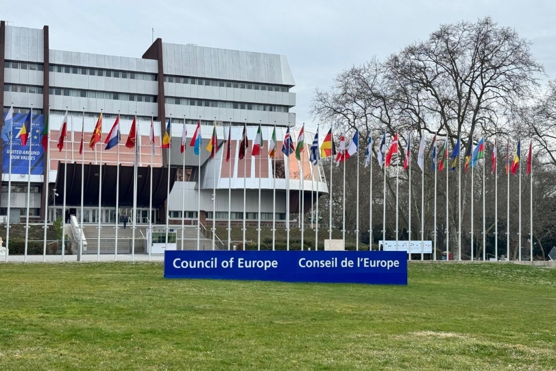 MLSA informs Council of Europe about Turkey's failure to implement ECHR press freedom rulings