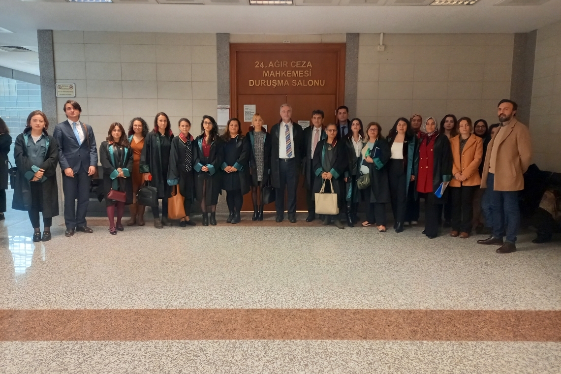 Lawyer Dilek Ekmekçi sentenced but released from prison