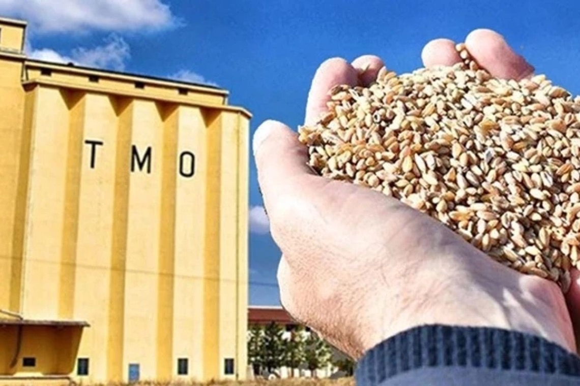 Journalist Mehmet Oflaz denies secrecy violation, says report was backed by documents