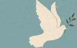 A decade after a declaration: Ten years of the Academics for Peace